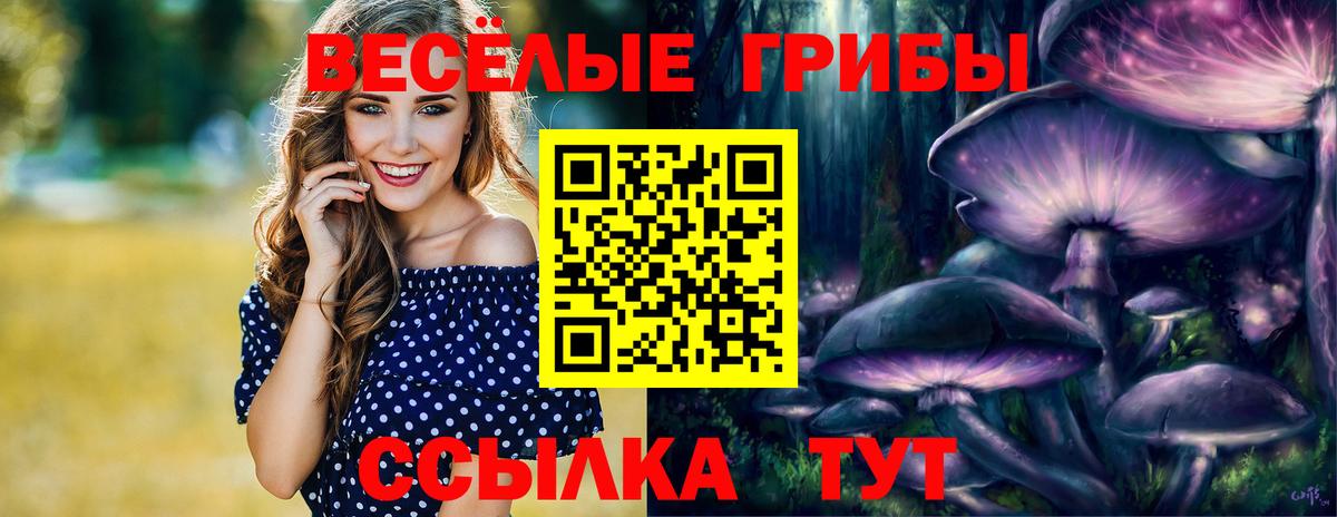 Псилоцибиновые грибы MAGIC MUSHROOMS Советская Гавань