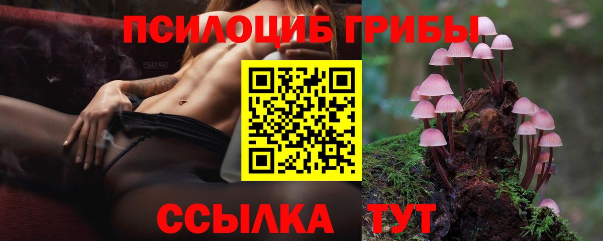 Галлюциногенные грибы Psilocybine cubensis  Вход с VPN  Советская Гавань 